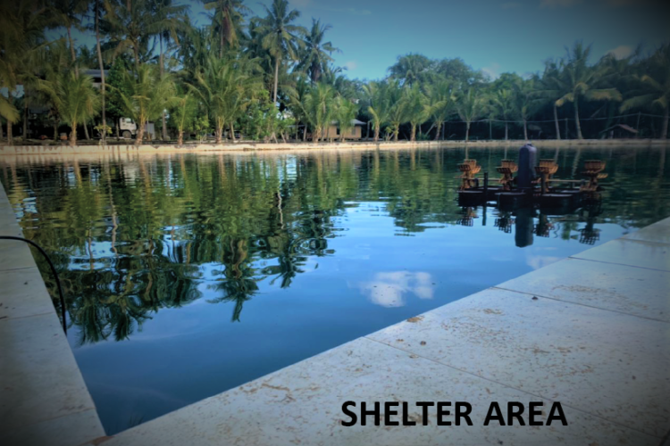 Shelter Area